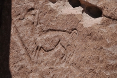 he petroglyphs served as a place for travellers to document their experiences and contribute to history and culture.