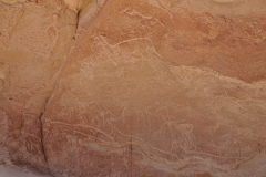 Llamas - this was their livelihood of the time.