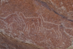 The drawings are attributed to the Atacama people that date back as early as 500 AD.