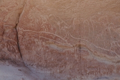 The images depict everything from gatherings of people to livestock, camels, llamas, and foxes.