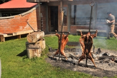 We visit a working estancia today for lunch.  We are in for a treat Patagonian Lamb.