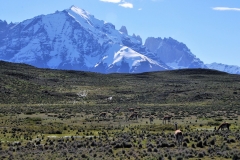 Not only does Torres del Paine boast several distinct ecosystems; each ecosystem contains a wealth of landscapes, flora, and fauna found nowhere else in world.
