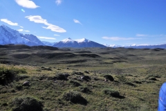 More than 40 mammals make their home in the park, including the guanaco, puma, and Patagonian gray fox. Some of the world's rarest bird species - the Andean condor, crested cara cara, and black vulture among them - are also found in Torres.