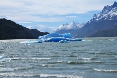 Grey Lake is a glacially fed lake in Torres del Paine National Park, southern Chile.