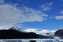 We boarded an icebreaker boat, the Capitan Constantino, to sail through the choppy ice and get in to the middle of this floating ice field.