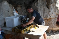 The industry has been renewed by family farms organized into associations and cooperatives, contributing to a significant portion of Croatia's shellfish output.  