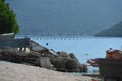Commercial oyster farming in Croatia is a centuries-old practice, most prominently established in the brackish waters of Mali Ston Bay