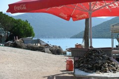 A mix of sea and river water creates the ideal brackish conditions, fostering the growth of sea plants that serve as food for the oysters. 