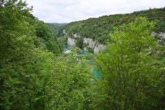 Bears and wolves, along with deer, boar, foxes and more than 120 species of birds call this region home. 