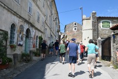 After our truffle finding demonstration we head up to the Hill Towns of Istria and the town of Motovun, one of the regions 136 mid evli hill towns. 