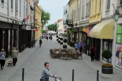 The city is situated at the banks of the Vuka and Danube Rivers. It is  slowly returning to former glory and again looks forward to a brighter future in spite of numerous obstacles. We boarded buses for a tour of Vukovar and headed to Osijek.