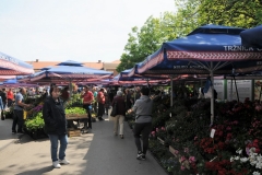Osijek has a fantastic  market downtown.