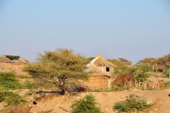 Afar village