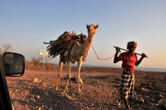 Most people in the wider region are involved in marine commerce, including a large number of fishermen. The region has sandy beaches, tourism and trade. It exports salts from deposits around Lake Assal, one of the country's main natural resources.