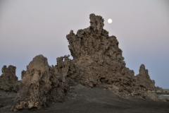Some of these chimneys reach heights of 50 meters, and puffs of steam vent from the top