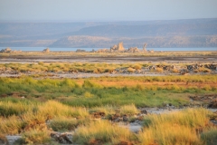 Lake Abbe is fed by the Awash River, and seasonal streams which enter the lake from the west and south, crossing the vast salt flats. On the northwest shore rises Mount Dama Ali, a dormant volcano