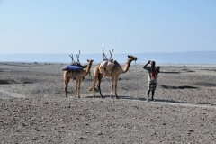 We meet another traveler along the trip.