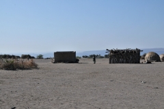 We come across another Afar village.
