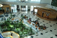Daylight in the lobby atriam