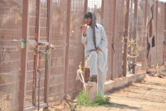 Local worker