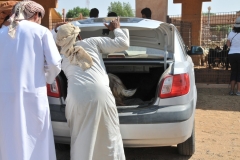 Goat is finally in the trunk to go home with the new owners