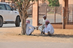 Finding a little shade in the heat of the day