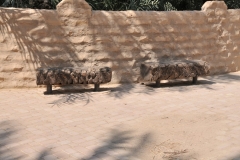 Benches made from Palm Trees