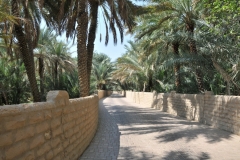 More of the Oasis