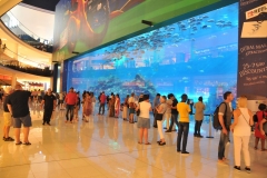 This has to be one of the largest Aquariums in the world