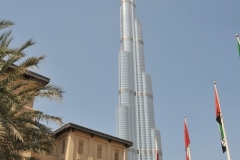 DSC_8205