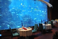 Culinary Flight Restaurant