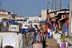 Just outside in the street near one of the 5 gate entrances to the Harar Jugol