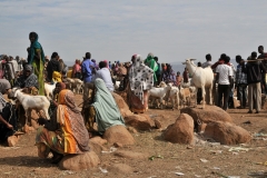 The market is bi weekly and draws large crowds each meet.