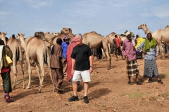 Here we have a California Camel herder looking for a buyer.