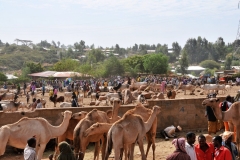 Photo of the market showing both sides of the wall