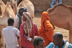 Interesting colors worn by different tribes.