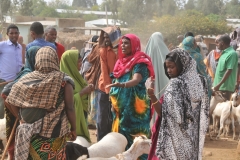 Women buying and selling goats.