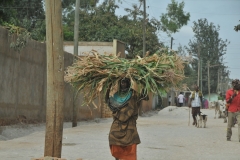 Don't ever complain about your job.