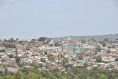 Returning to Harar