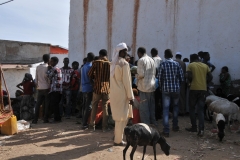 Younger people gathered to buy and chew the Khat. It is an epidemic. So many have lost all their teeth due to needing to combine the Khat with Coca Cola and sugar. No teeth at age 21.