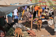 Animals roam around the food they are trying to sell