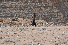 It is a wonder there is not a Cholera problem.