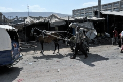 Local transportation - Taxi