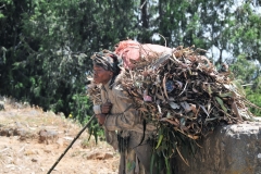 She is carrying fire wood to sell in the city