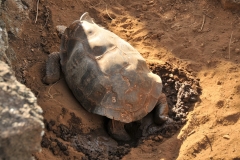 Galapagos Islands