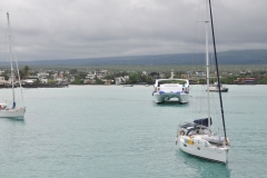 The Galapagos Islands and Puerto Ayora, Santa Cruz Island