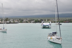 The Galapagos Islands and Puerto Ayora, Santa Cruz Island