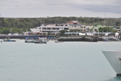 Puerto Ayora - Santa Cruz Island