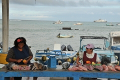 Fresh fish Market