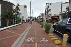 Bicycle lanes clever idea